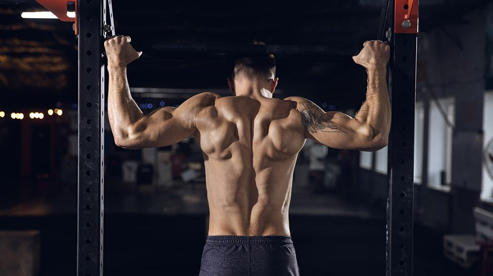 Creatine -- The Most Effective Muscle Building Supplement - Ultimate Nutrition