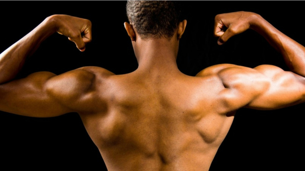 The Best Supplements for Hypertrophy vs. Strength Training