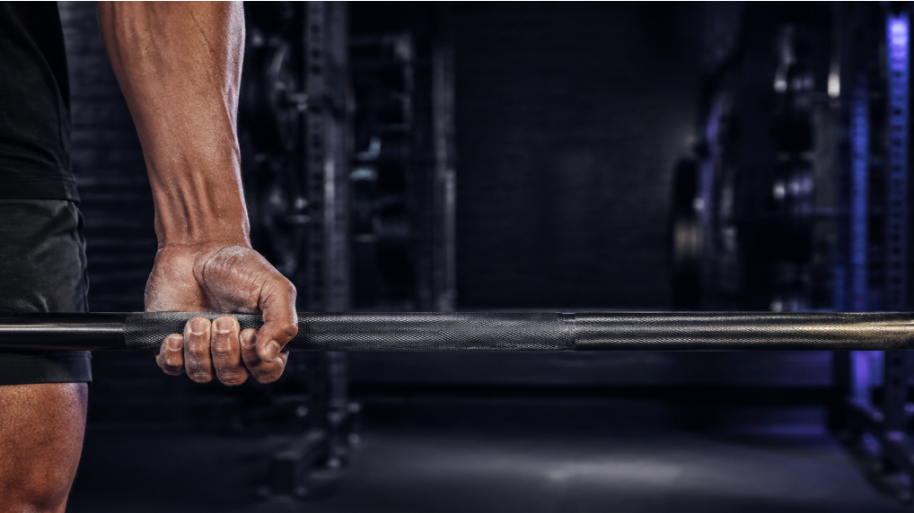 Grip Strength and Longevity: What Your Hand Strength Says About Your Health