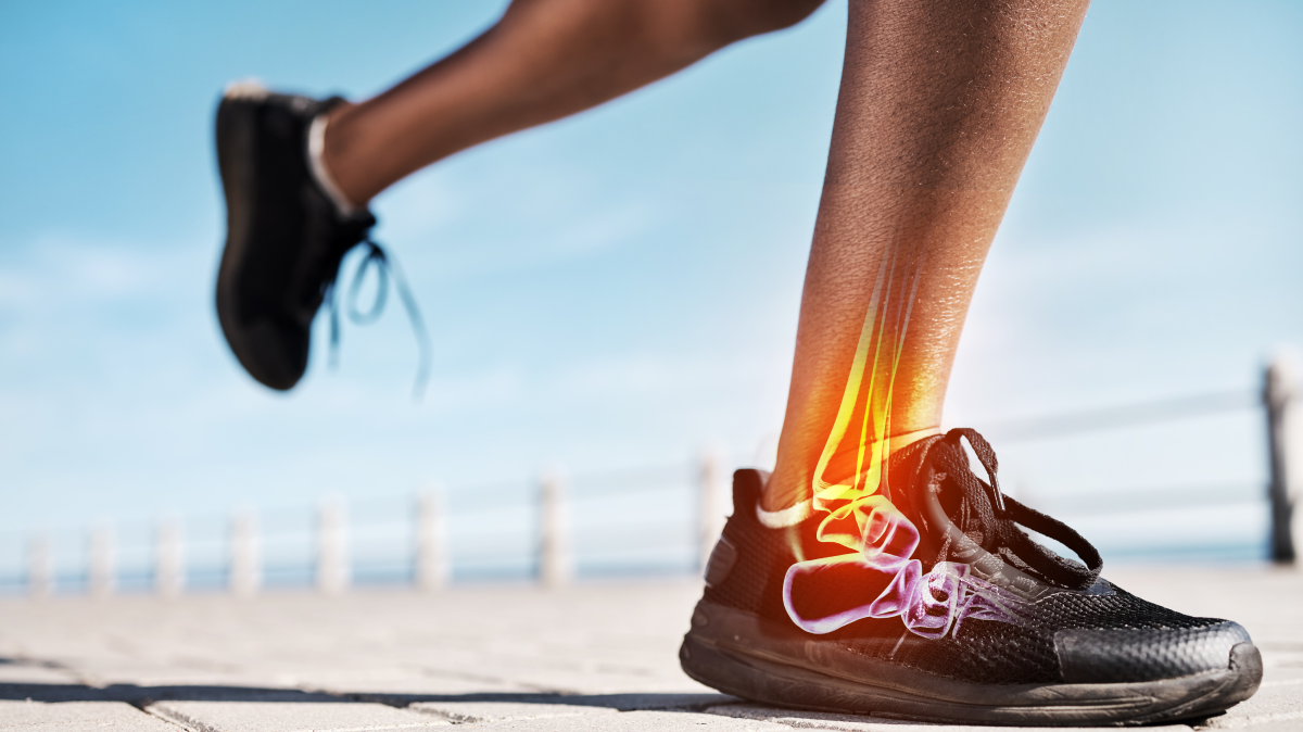 Building a Foundation That Lasts: Supplements That Support Bone Density and Joint Longevity