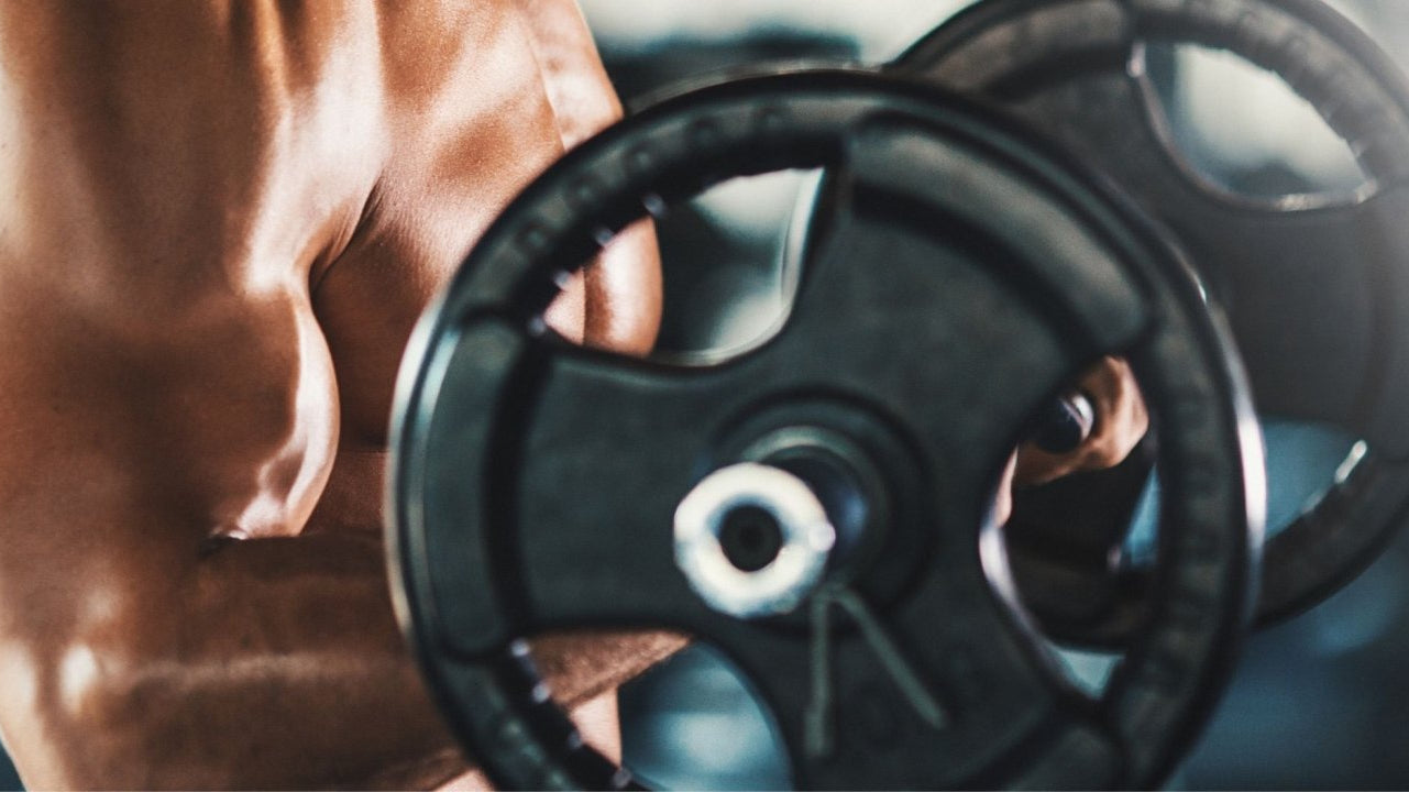 Bulking Up: The Science Behind Weight Gainers and Muscle Growth - Ultimate Nutrition