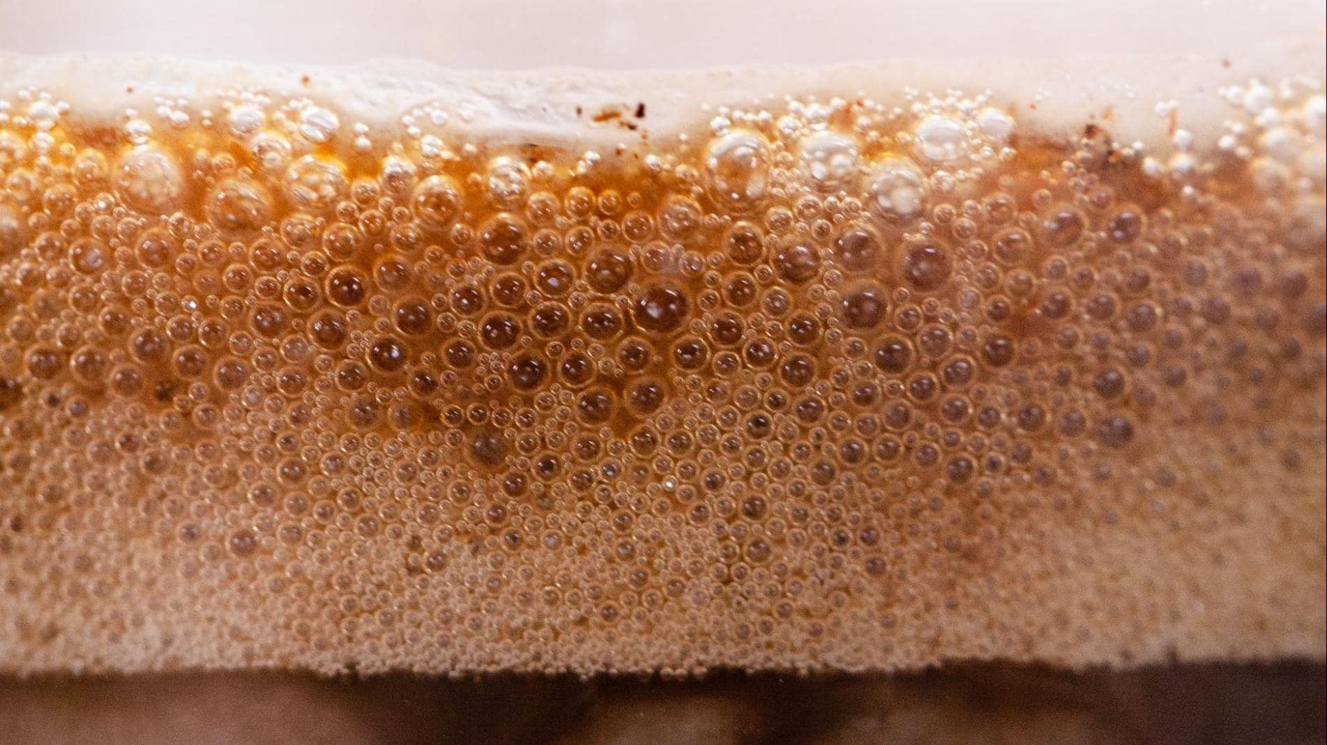 Protein coffee foam (Profee)