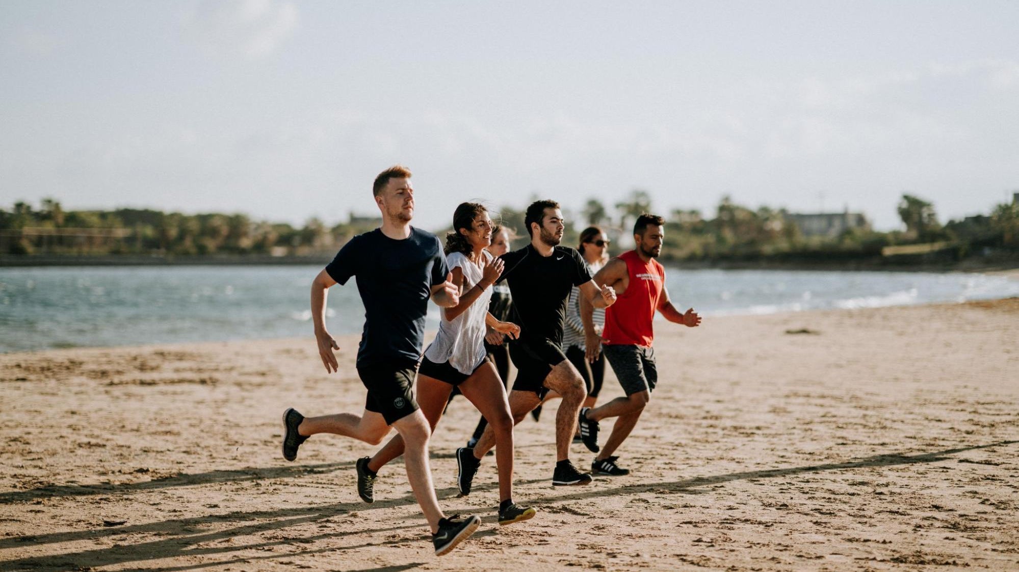 What is CLA? - Ultimate Nutrition