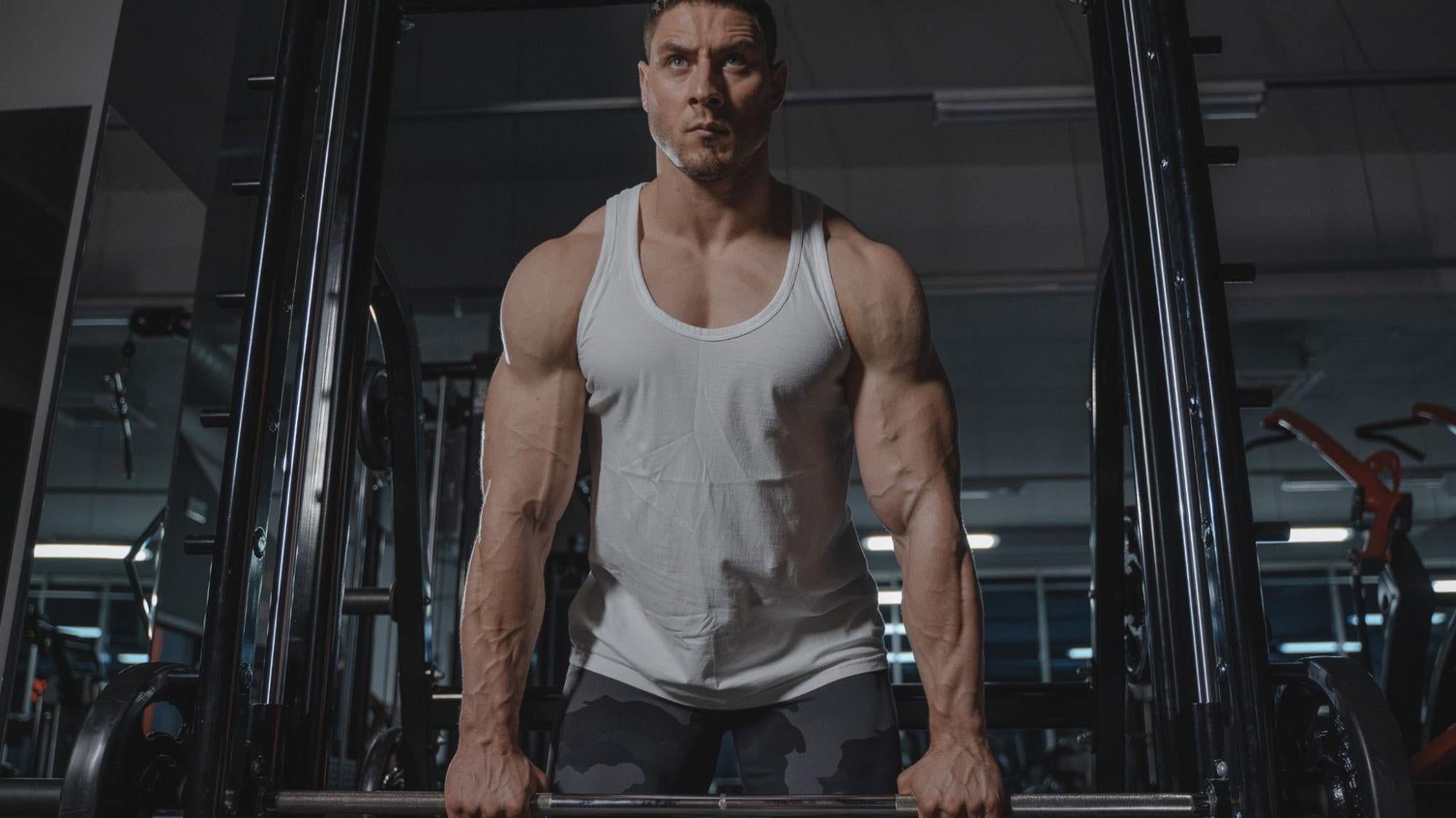 Everything You Need to Know About Weight Gainers - Ultimate Nutrition