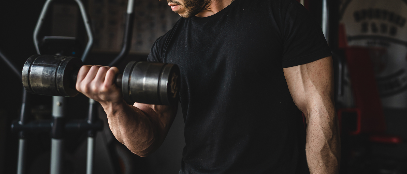 How Hormones Influence Fitness Performance and Recovery
