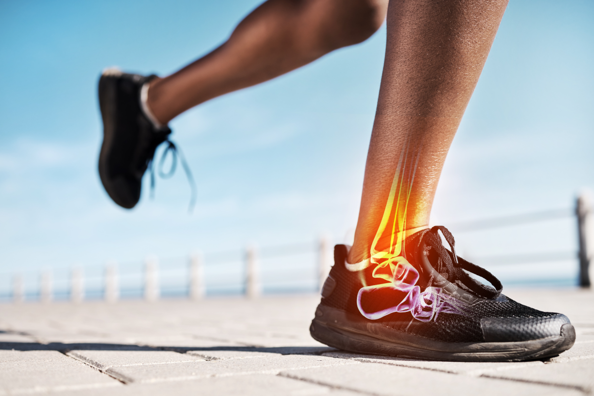 Building a Foundation That Lasts: Supplements That Support Bone Density and Joint Longevity 