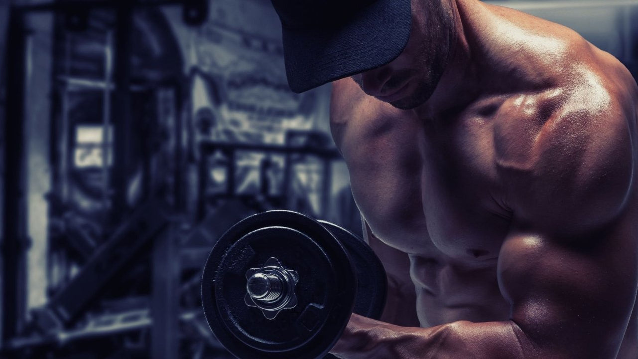 Maximize and Maintain: Keeping Your Gym Gains Intact - Ultimate Nutrition
