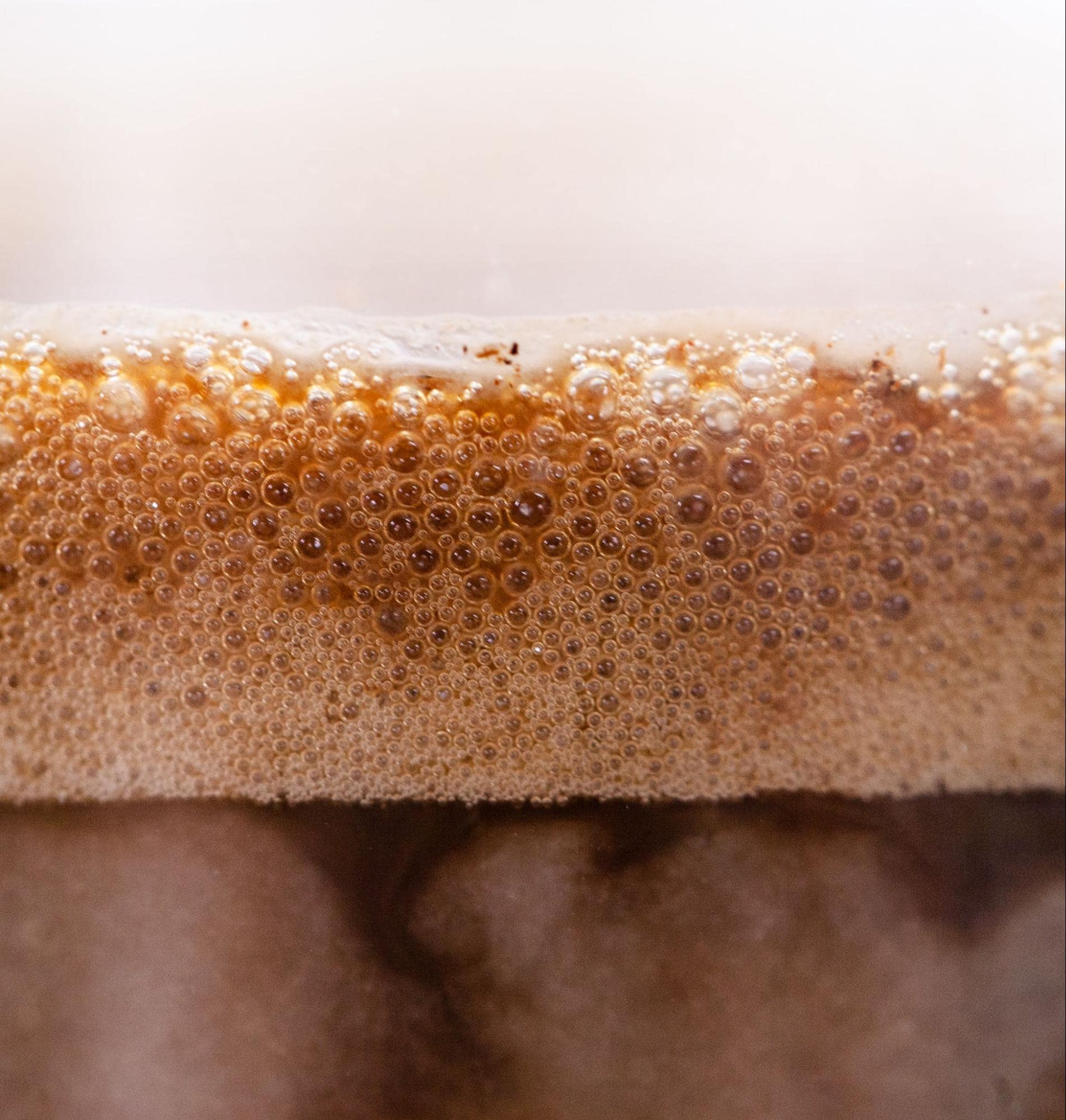 Protein coffee foam (Profee)