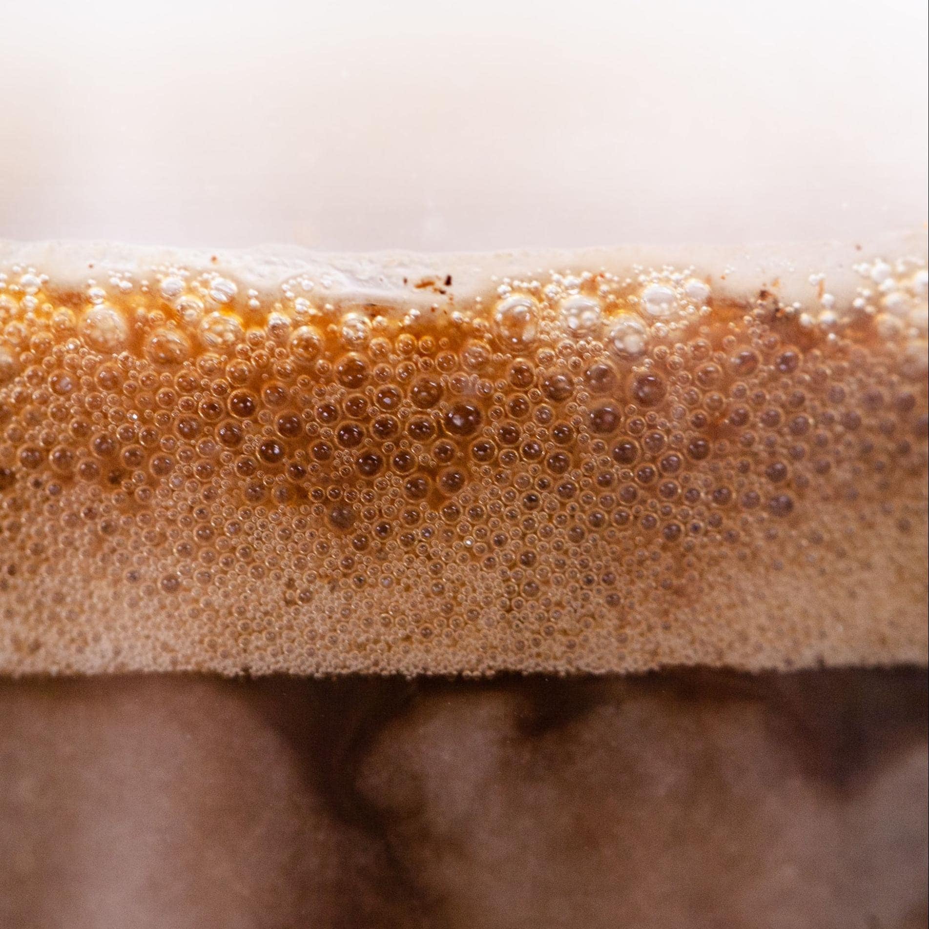 Protein coffee foam (Profee)